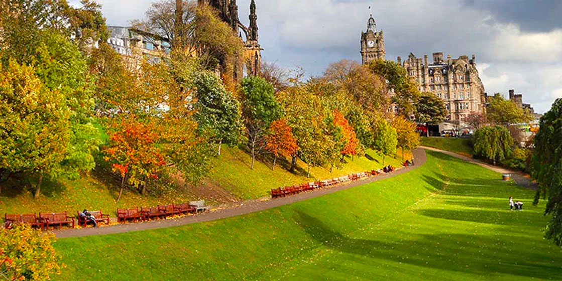 Princes Street Gardens - Midland Bluebird
